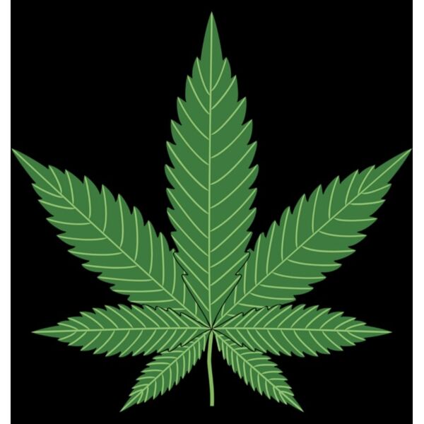 20191208 013129 Thumbnail