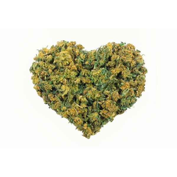 images jpeg 14 Thumbnail